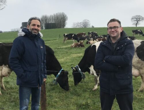 Halloumi Cheese Start-up Has Scope For Farmers